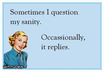 sometimes-i-question-my-sanity-occassionally-it-replies-ecard.jpg