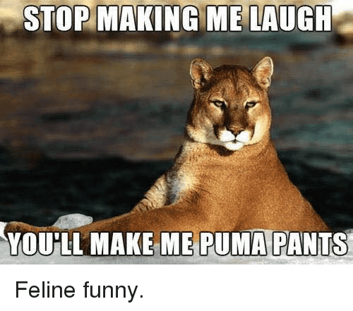 stopmaking-melaugh-youhll-make-me-puma-pants-feline-funny-32267302.png