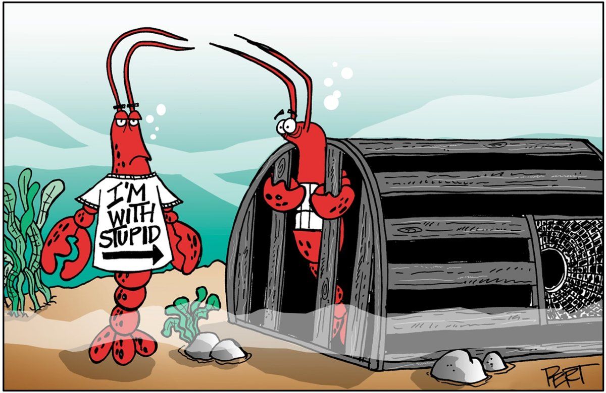 stupid-lobster.jpg