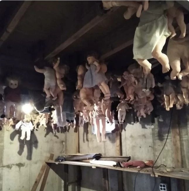 terrifying_basement_discoveries_homeowners_couldnt_keep_to_themselves_640_high_02.webp