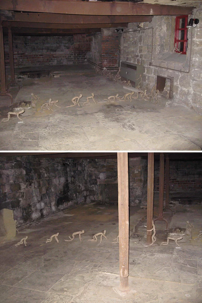 terrifying_basement_discoveries_homeowners_couldnt_keep_to_themselves_640_high_04.webp