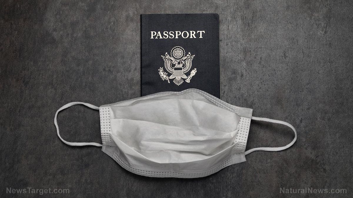 Travel-Disease-Prevention-Mask-Passport.jpg