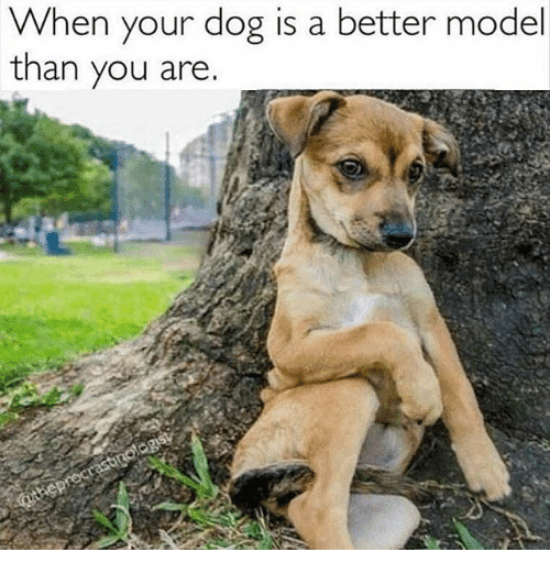 when-your-dog-is-a-better-model-than-you-are-23681320.png