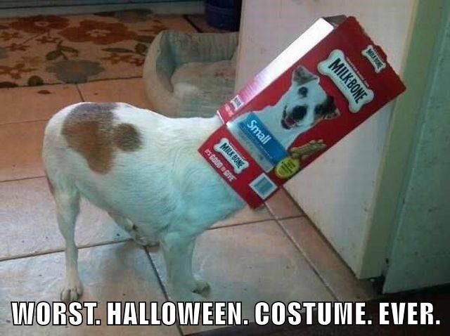 worst-halloween-costume-ever.jpeg