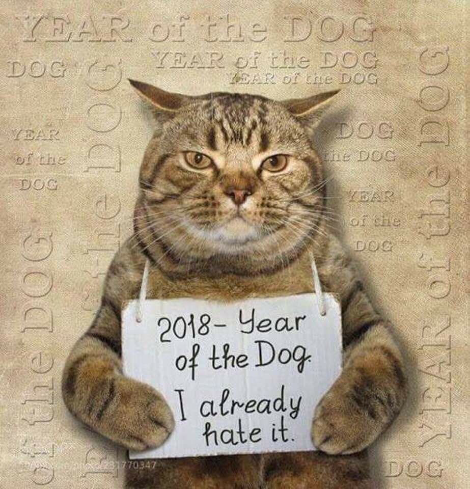 year of the dog.jpg