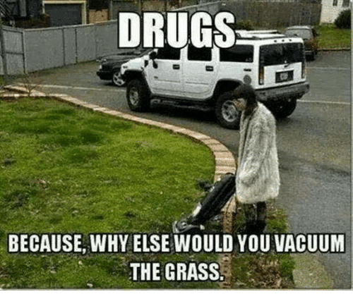 drugs-because-why-else-would-you-vacuum-the-grass-14247416.png