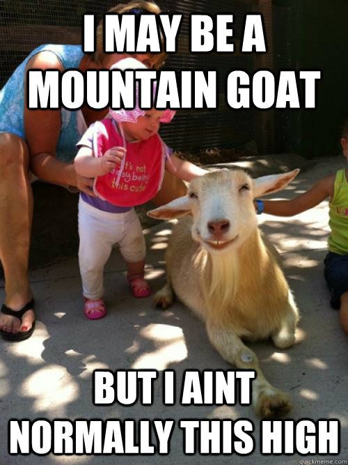 I-May-Be-A-Mountain-Goat-Funny-Meme-Picture.jpg