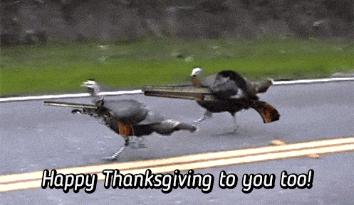 happy-thanksgiving-animated-gif-47-2.gif