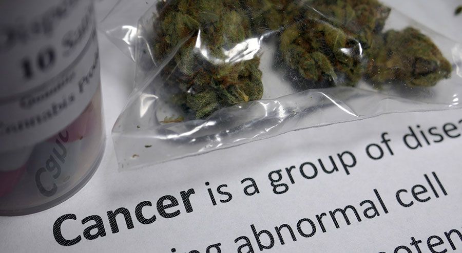 Marijuana-for-Cancer.jpg