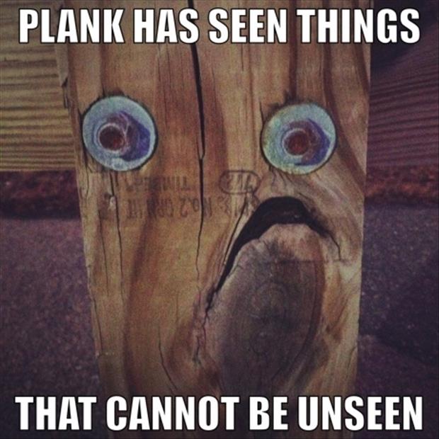 funny-pictures-wood.jpg