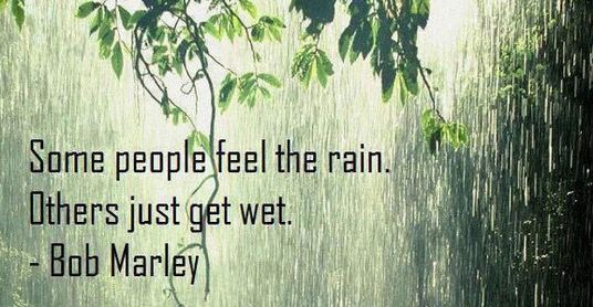 Bob-Marley-Some-people-feel-the-rain-others-just-get-wet.jpg