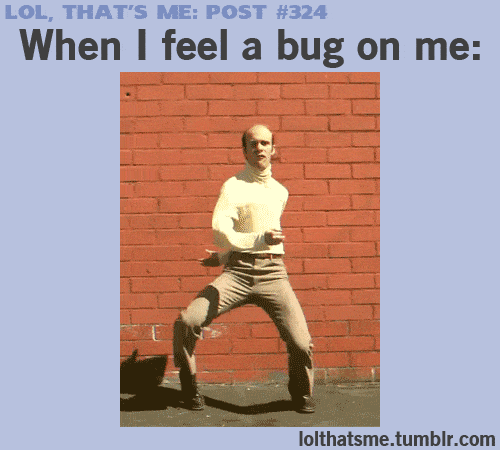 when-feel-bug-on-me-dance.gif