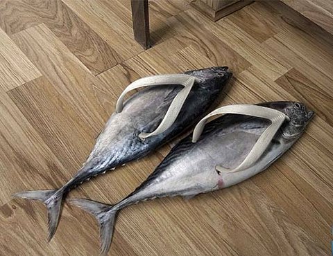 unique-shoes-deisgn-fish.jpg