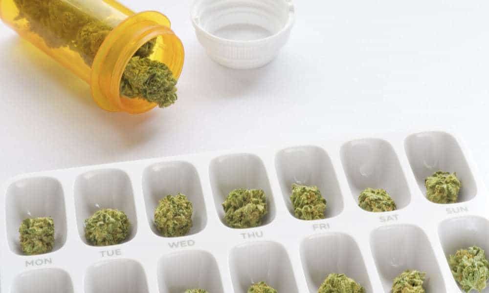 nj-adds-new-qualifying-conditions-to-medical-marijuana-program-2.jpg