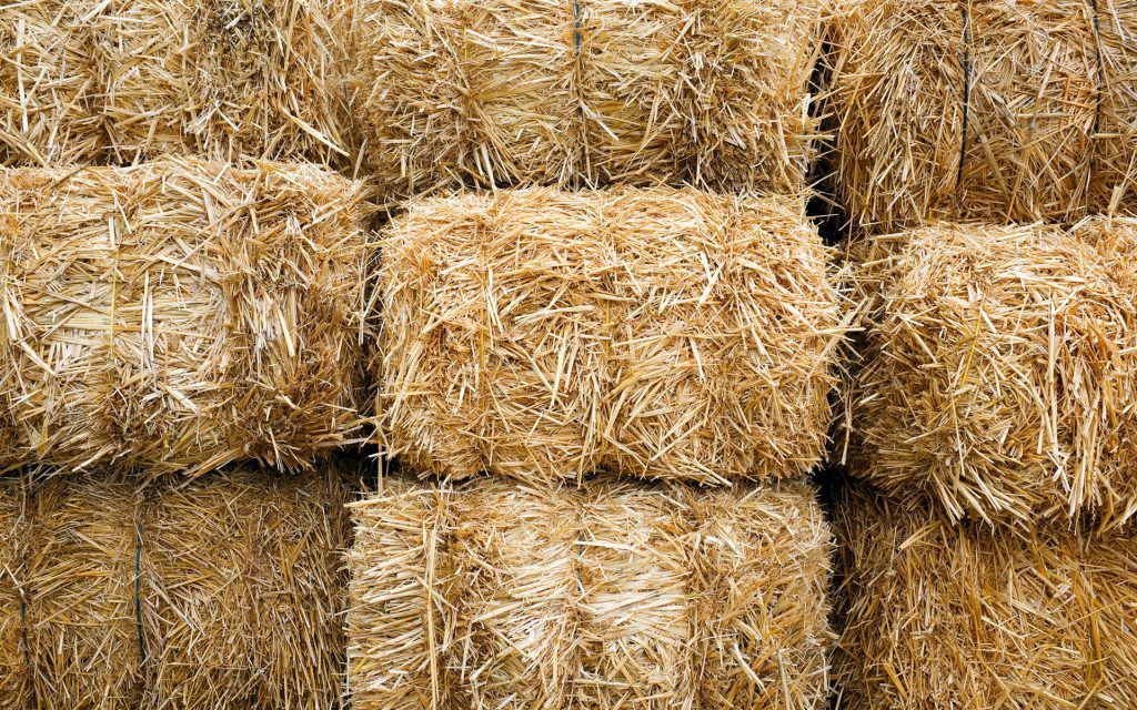 hay-bales-north-dakota-1024x640.jpg