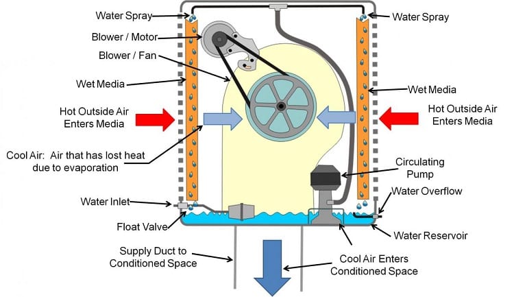 Illustration Of Cooling System Parts