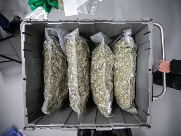 packaged-cannabis.jpg