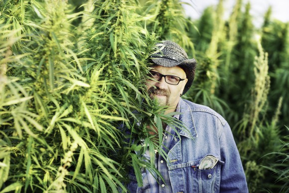 marijuana-cultivator-posing-with-plants-cannabis-getty_large.jpg