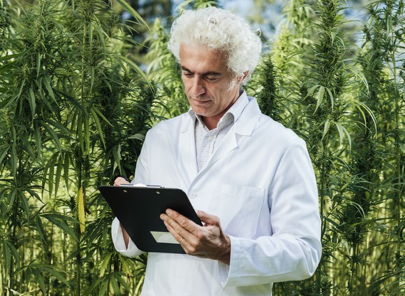 scientist-writing-on-clipboard-marijuana-cannabis-getty_large.jpg