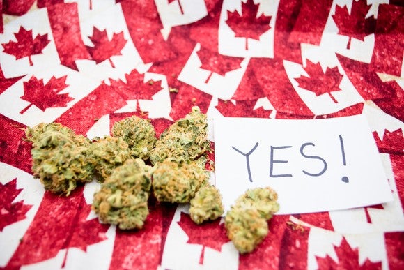 marijuana-cannabis-weed-pot-canada-legalize-buds-getty_large.jpg