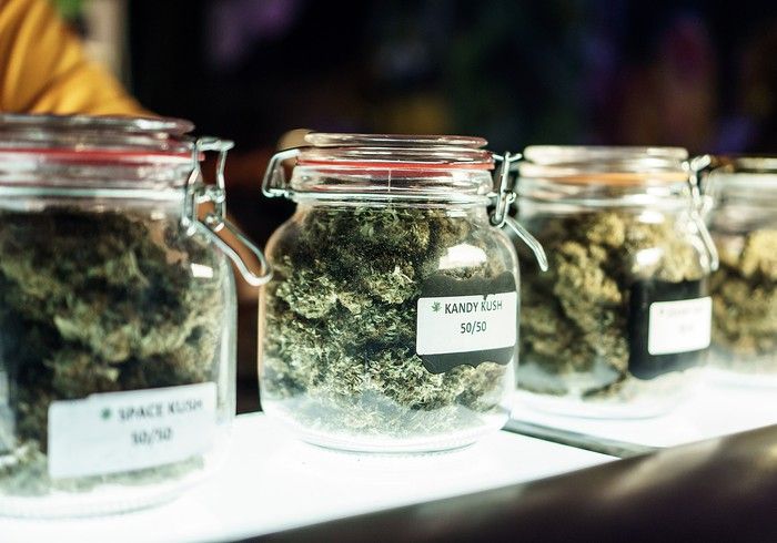 Clearly labeled jars containing dried cannabis buds on a dispensary store counter.