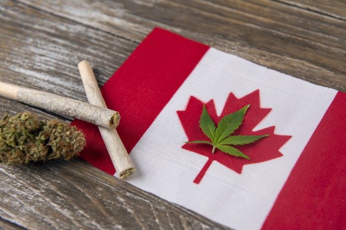 A cannabis leaf laid within the outline of the Canadian flag's red maple leaf, with rolled joints and a cannabis bud to the left of the flag.