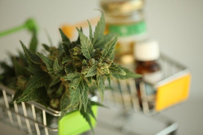 Two miniature shopping carts, with one holding a cannabis flower, and the other containing vials of cannabis oil.