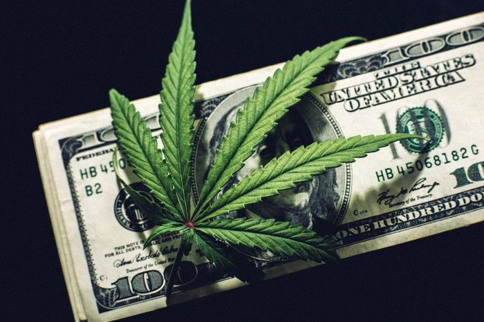 A cannabis leaf lying atop a neat stack of one hundred dollar bills.