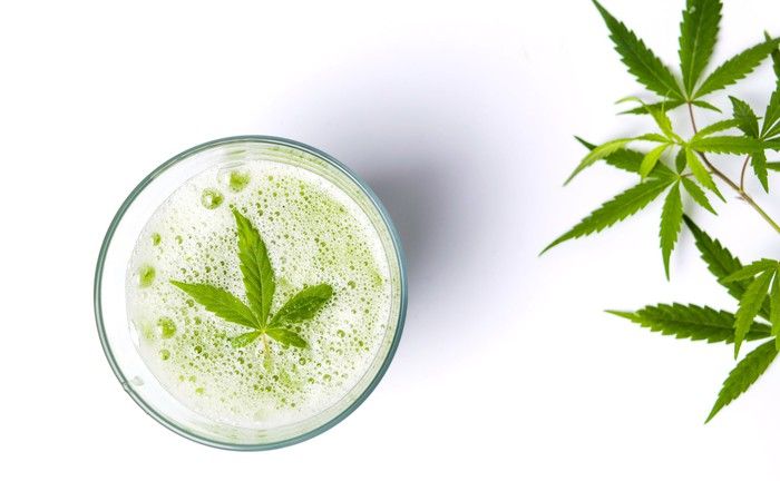 A cannabis leaf laid atop carbonation in a glass, with cannabis leaves set to the right of the glass.