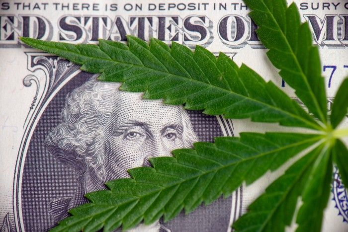 A marijuana leaf rests on top of a $1 bill.