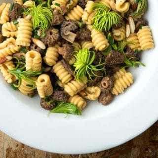 pine pollen pasta with morels and fir tips