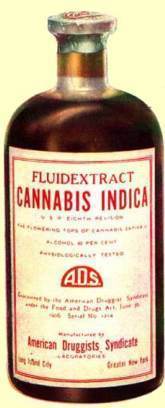 Bottle_of_Cannabis_jeffrey_dach.jpg