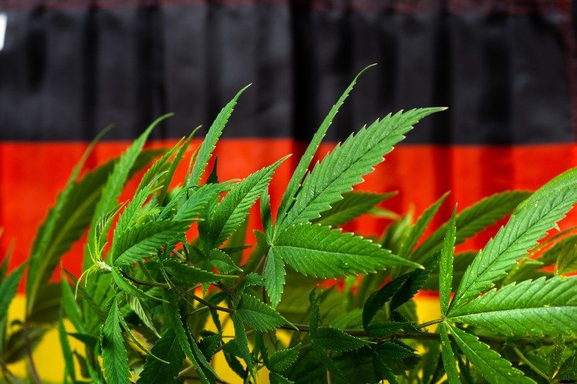 Germany rejected recreational cannabis