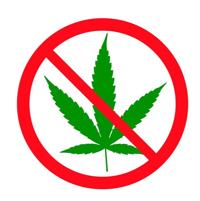 illegal cannabis