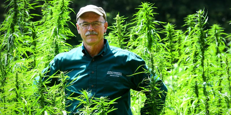 George-Washingtons-Estate-Is-Finally-Growing-Cannabis-Again.jpg