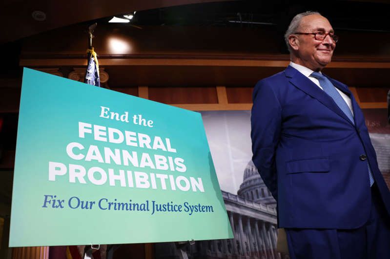 Senate Majority Leader Chuck Schumer has thrown his weight behind cannabis decriminalization, producing a draft bill this summer that would regulate a nationwide industry and force siloed state markets to interact with each other.