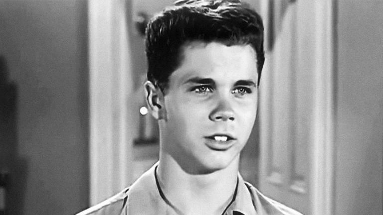 Tony Dow, Who Played Wally Cleaver on ‘Leave It to Beaver,’ Dies at 77