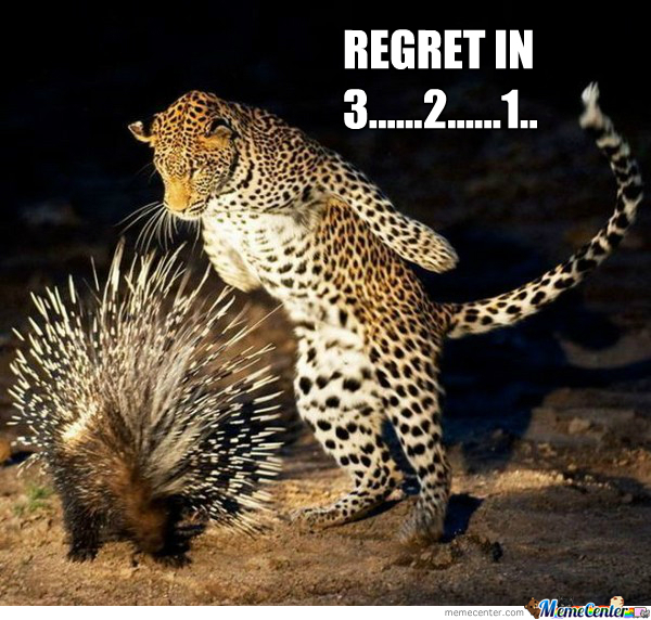 regret-is-a-painful-lesson_o_2026187.jpg