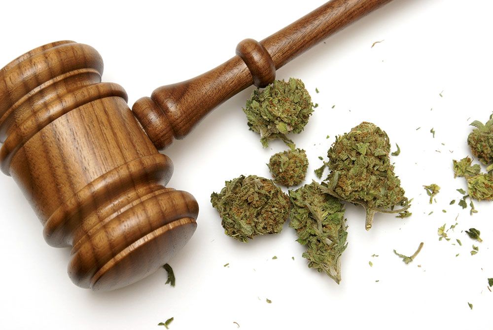 The-New-Criminal-and-Civil-Penalties-under-Michigan%E2%80%99s-New-Marijuana-Law-02.jpg