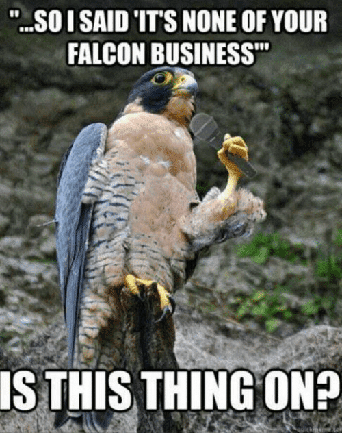 soisaidits-none-of-your-falcon-business-is-this-thing-on-5175923.png