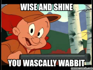 thumb_wiseand-shine-you-wascally-wabbit-emecrunch-co-elmer-fudd-meme-53613059.png