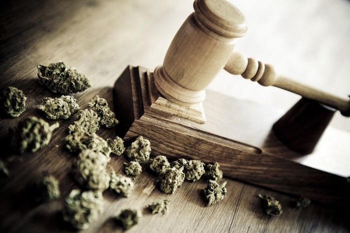 A judge's gavel next to a handful of dried cannabis buds.