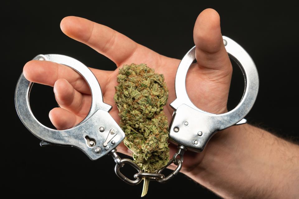 Man with drug bud and handcuffs closeup