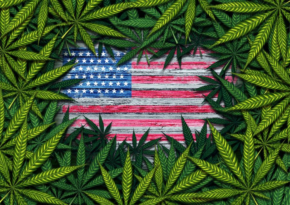 American Marijuana