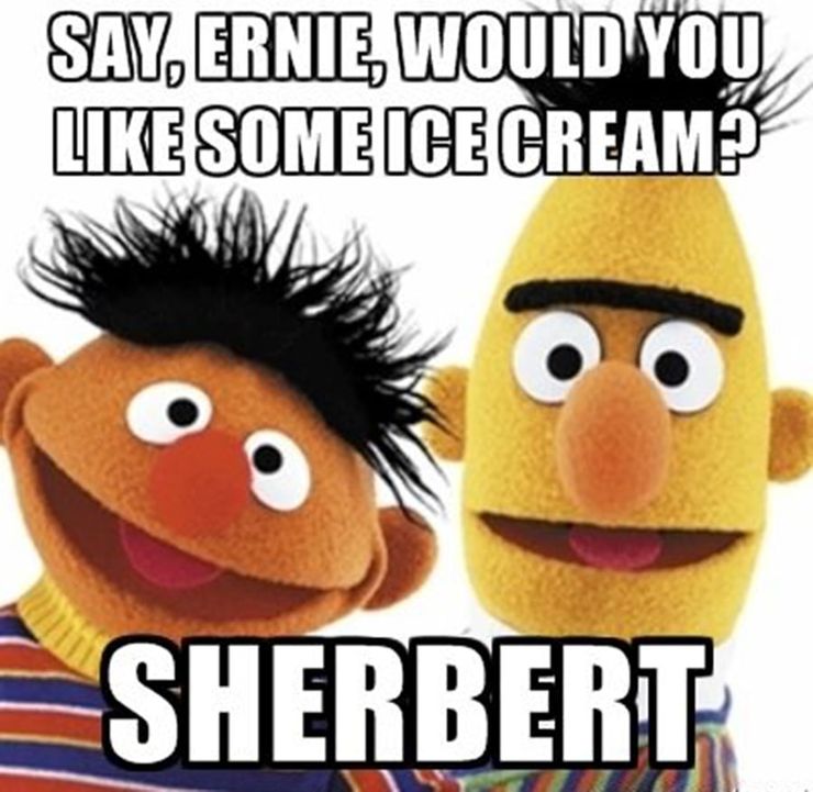 Bert-and-Ernie-Sesame-Street-Meme-5.jpg