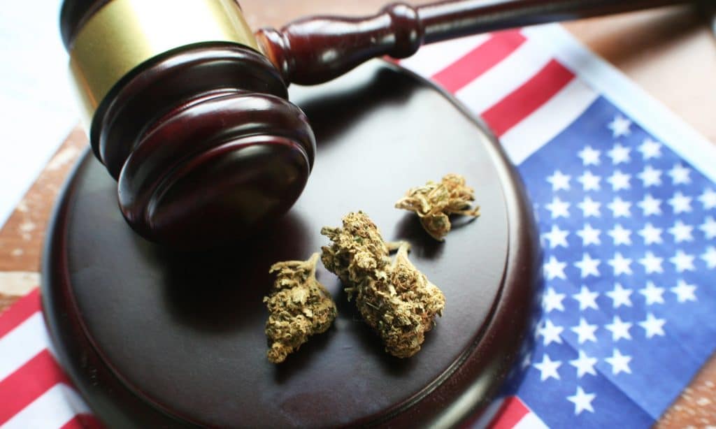 The Majority Of Americans Support Decriminalizing Drugs