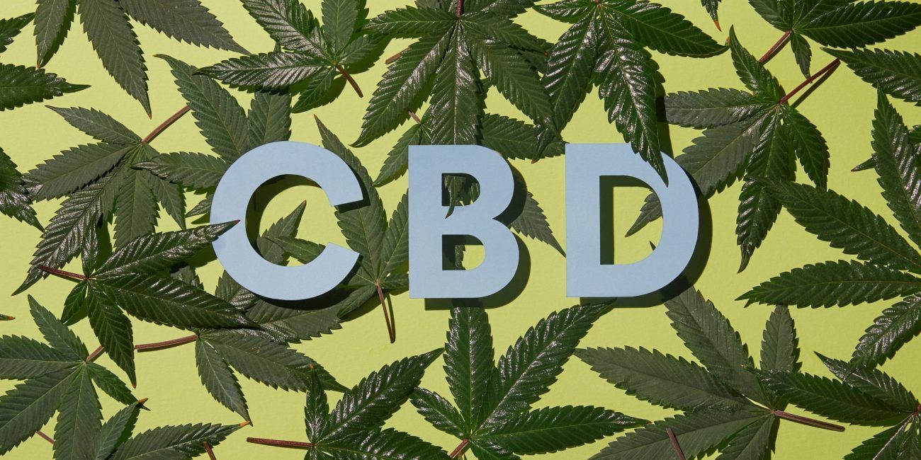 cbd cannabis leaves