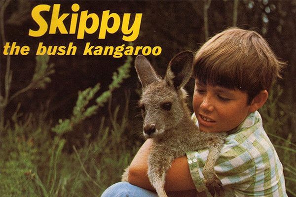 Skippy-the-bush-kangaroo.jpg