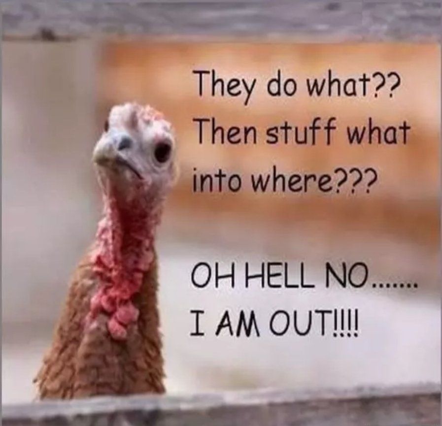 Happy-Thanksgiving-Day-Memes-37.jpg