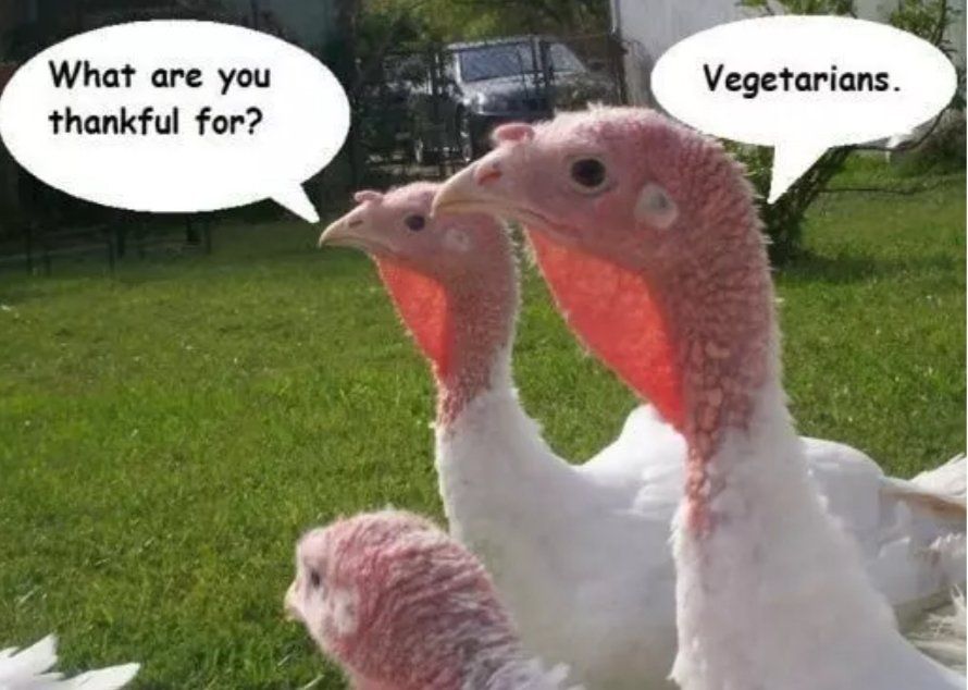 Happy-Thanksgiving-Day-Memes-7.jpg